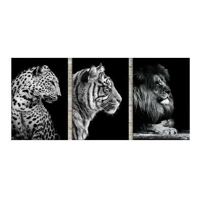 CUADROS DECORATIVOS 23x30