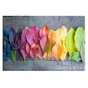 CUADRO DECORATIVO 120x80