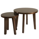 MESA DE CENTRO DUO