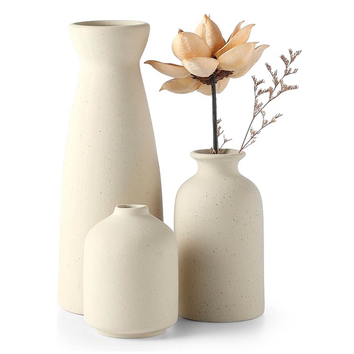 [AC_DEC_75] JARRONES PAMPA